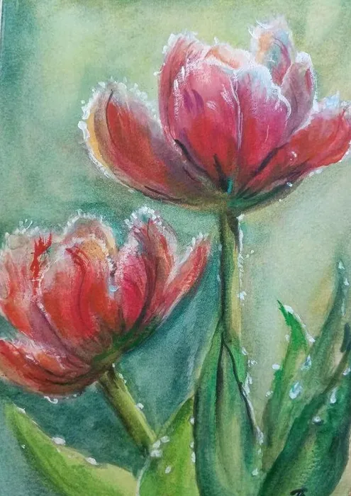 7a01f94a-2b30-4636-827f-00560449bc6c