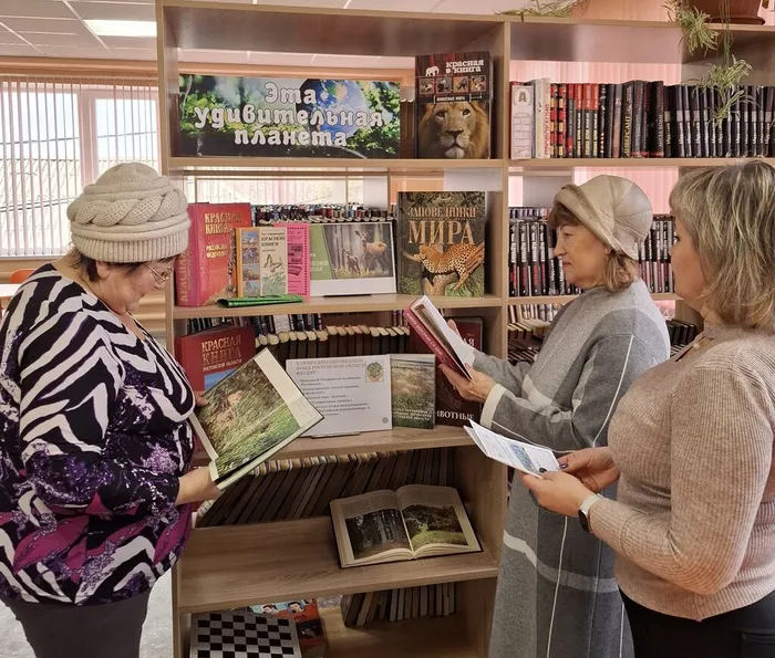 Книжная выставка